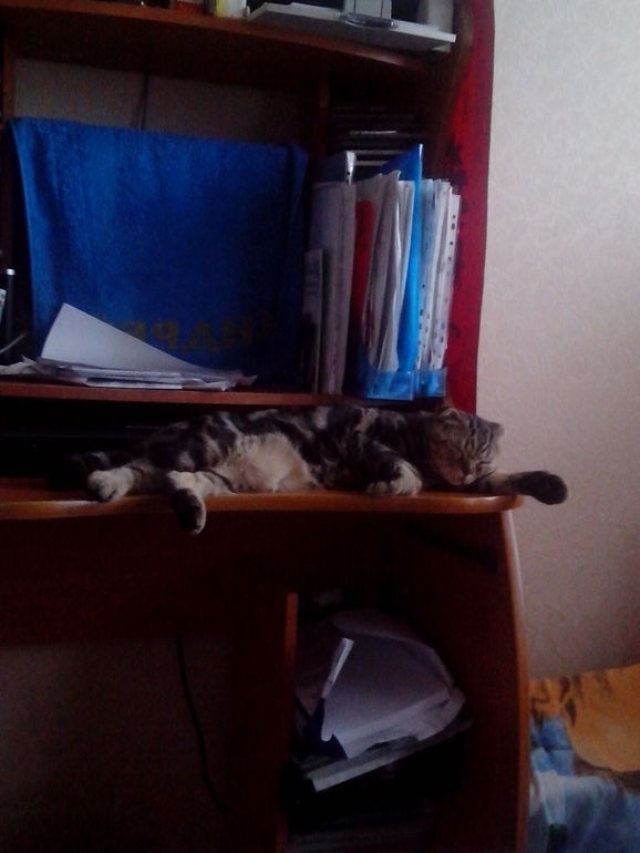 Нам уже 6 мес.