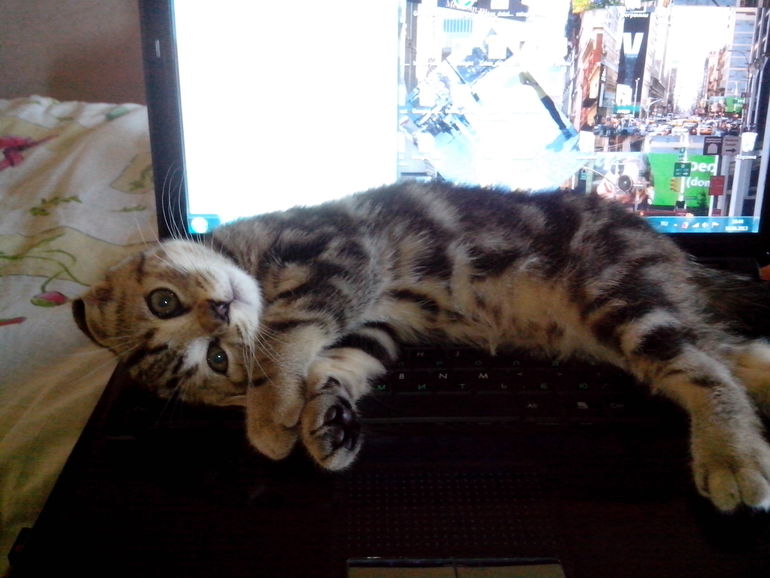 Нам уже 6 мес.