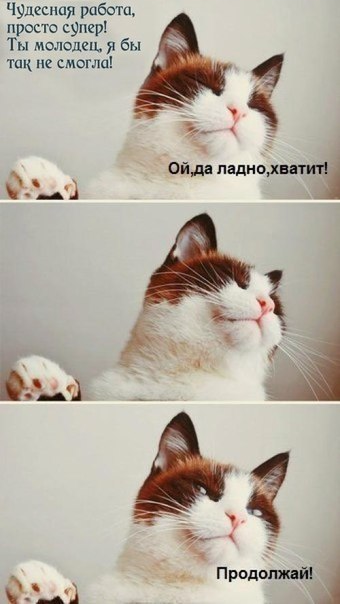 немного позитива.) узнаете себя?))