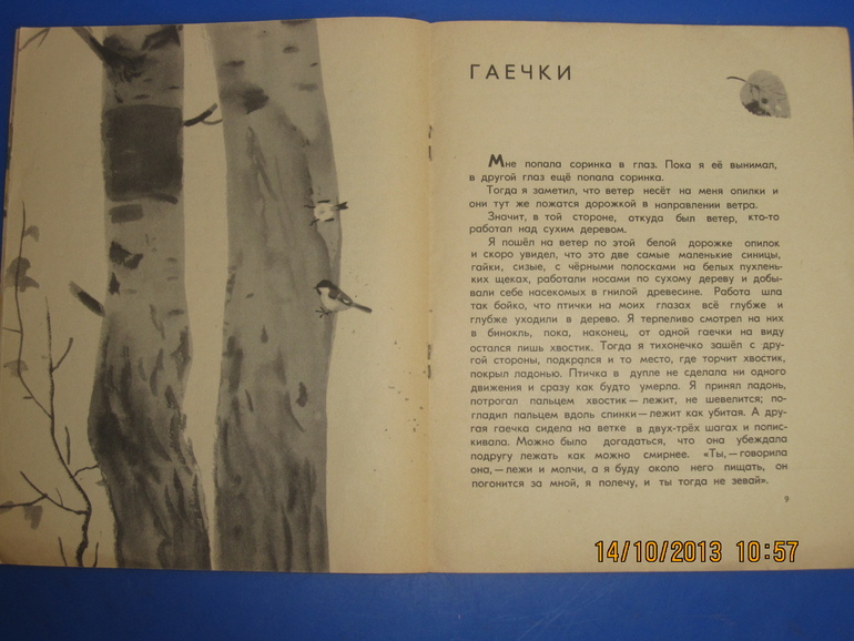 Маршак с Митуричем и неизвестный Носов