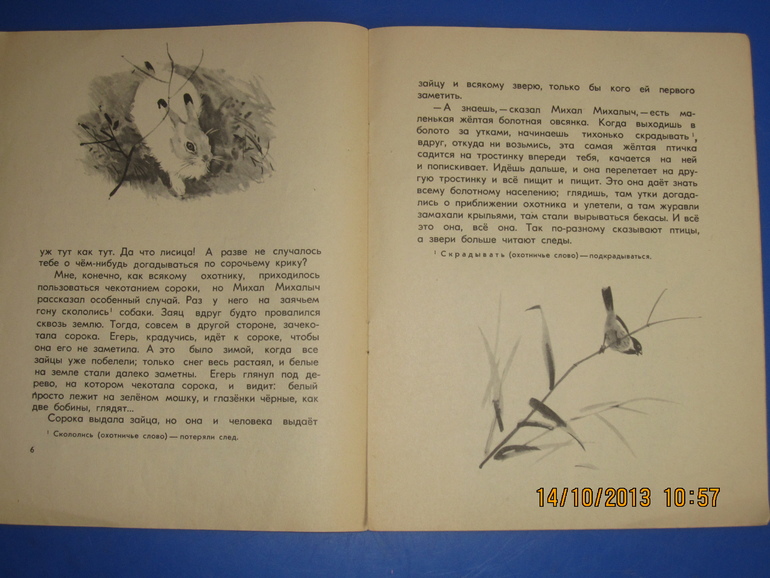 Маршак с Митуричем и неизвестный Носов