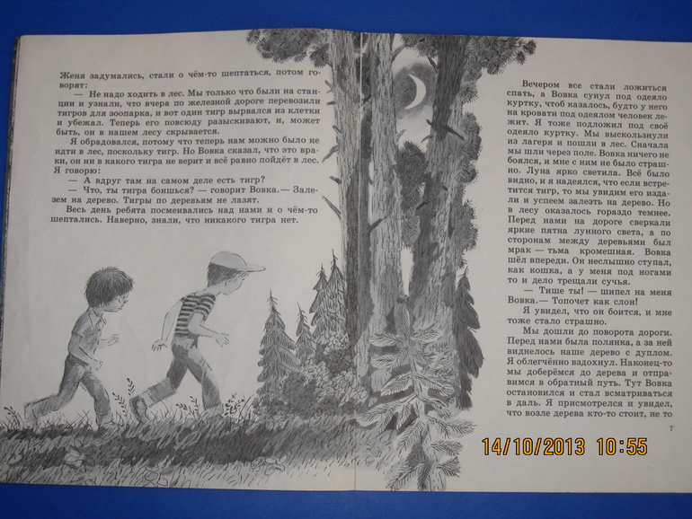 Маршак с Митуричем и неизвестный Носов