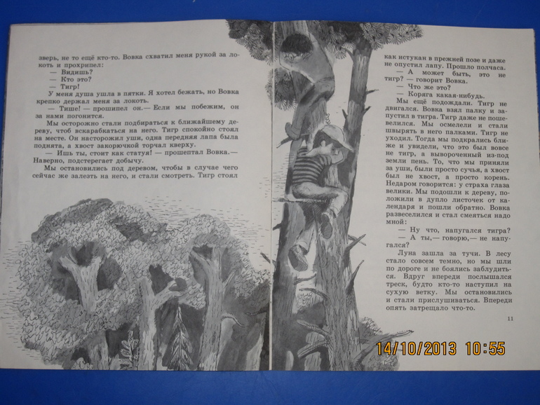 Маршак с Митуричем и неизвестный Носов