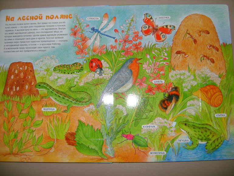 Энциклопедии с секретами