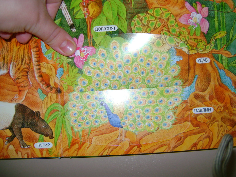 Энциклопедии с секретами