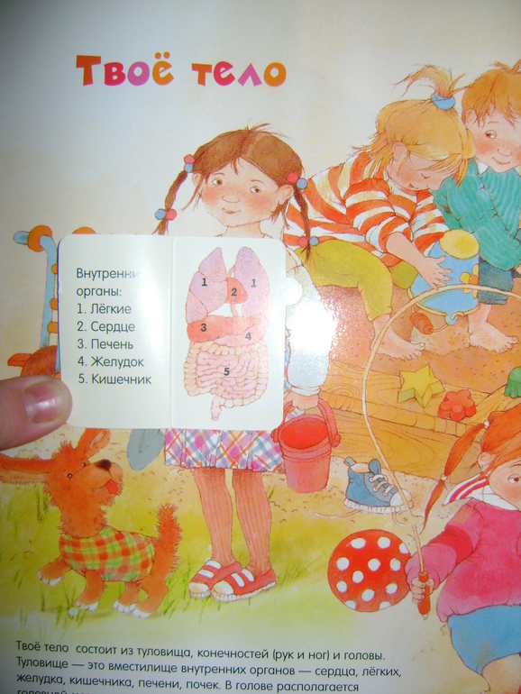 Энциклопедии с секретами