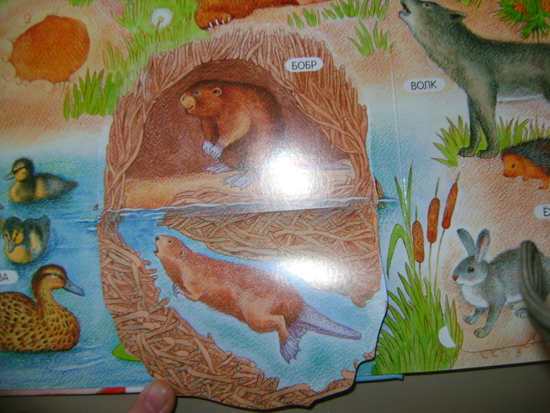 Энциклопедии с секретами