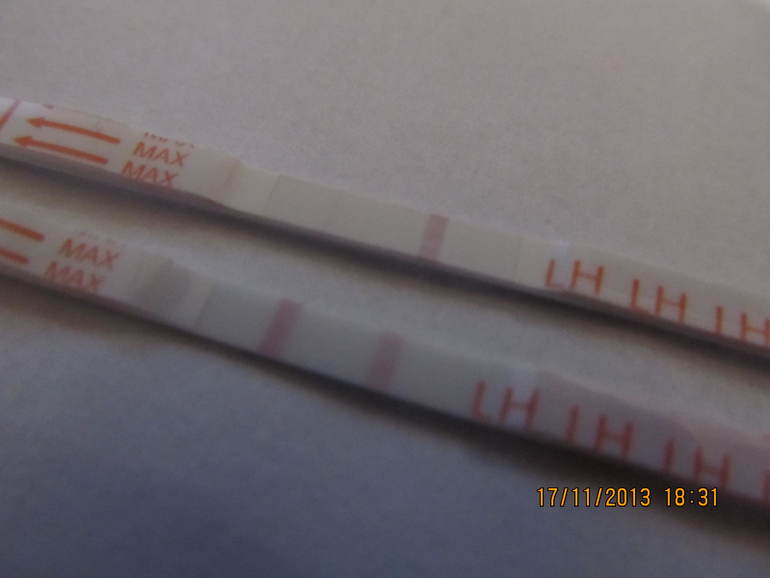 подскажите пожалуйста это О?