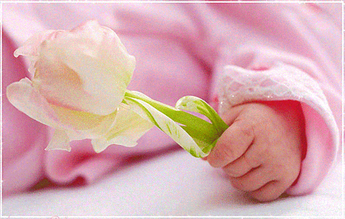 1db96442d94a2001642d1ba53df2d771.gif