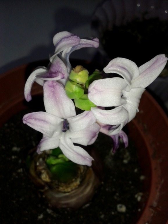 И для меня подарочек!!!