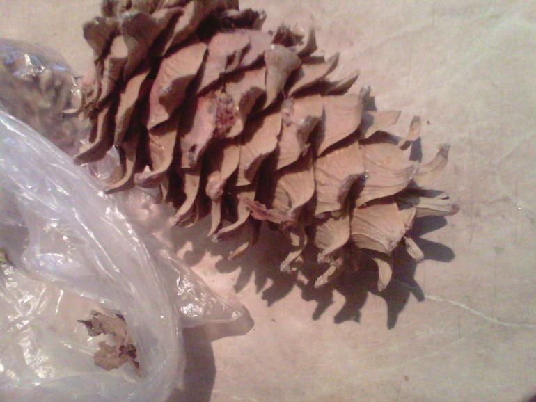 Еще хвастики по обменчикам