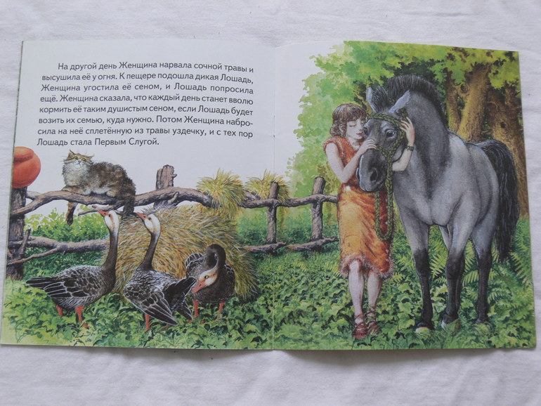 Книги для малышей - нежно любимые книжки изд.Адонис:)