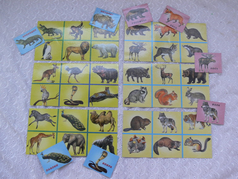 Плакаты - наша коллекция)))