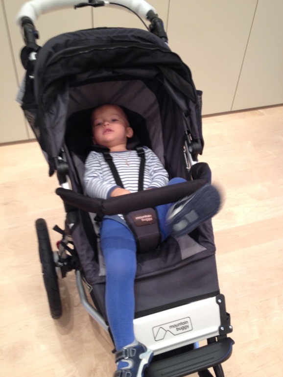 Mountain Buggy Terrain Evolution 2013 цвет Flint