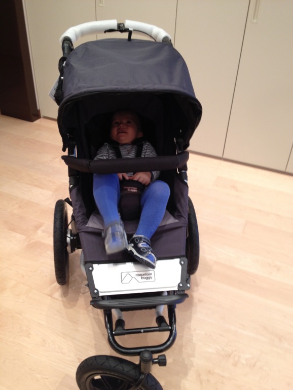 Mountain Buggy Terrain Evolution 2013 цвет Flint