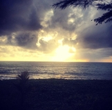 Мой обменчик!