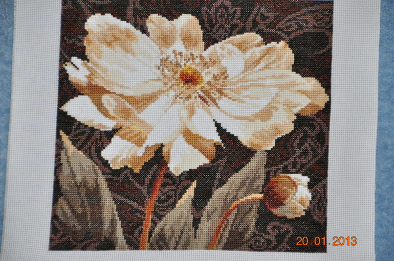 Второй готов! "Алиса", Открытый свету!