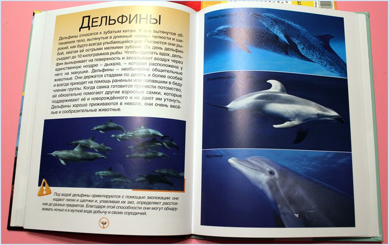 Наши любимые книги в 1,4 мес.