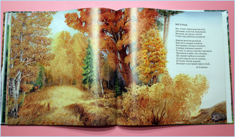 Наши любимые книги в 1,4 мес.