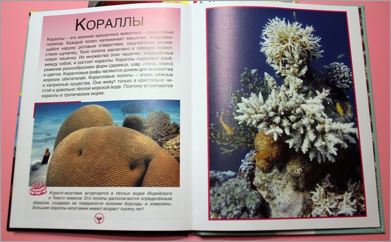 Наши любимые книги в 1,4 мес.