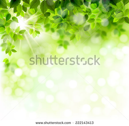342144798d174298963f1b989a968a7a.jpg