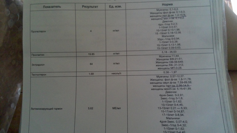 491ddef3c0cee9cc988b0f595298ccb0.jpg