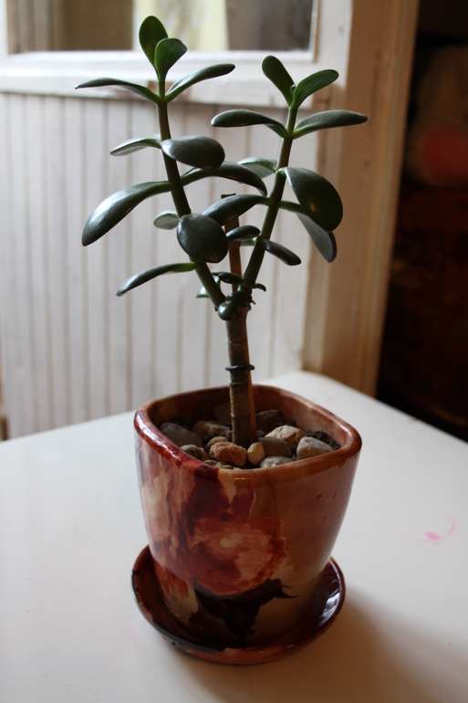 Провела перепись населения.Ну и фото на память.