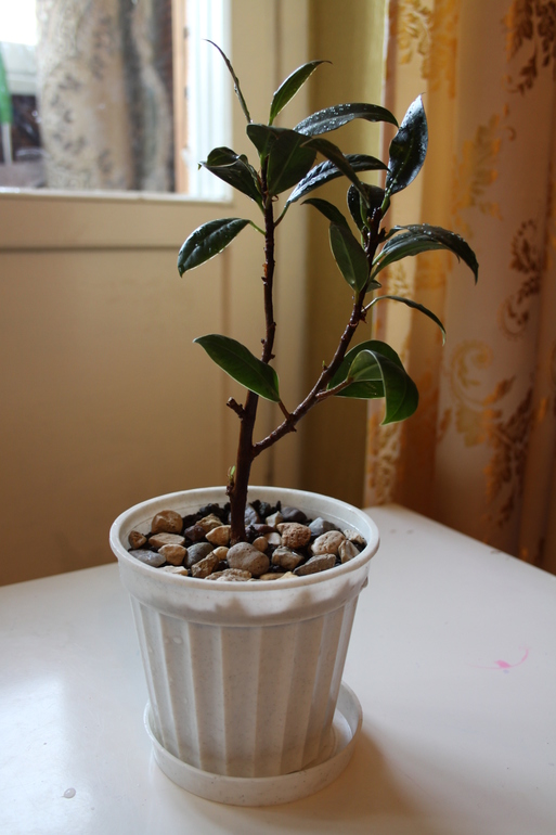 Провела перепись населения.Ну и фото на память.