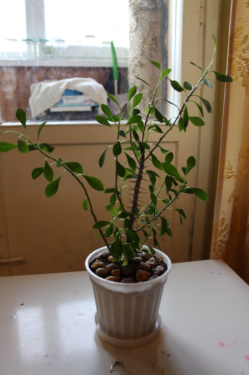 Провела перепись населения.Ну и фото на память.