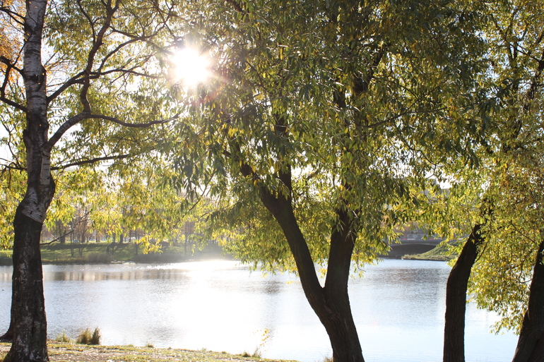 Наше осеннее