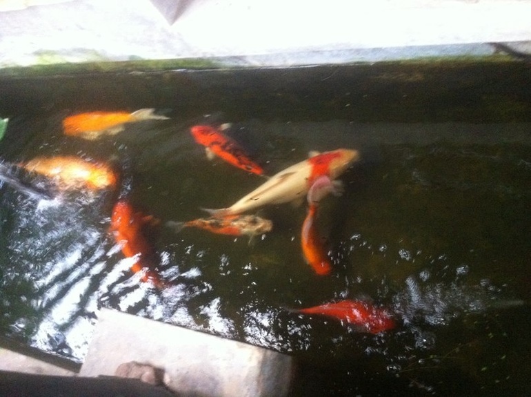 Житие- бытие или обо всем за 10 дней в Тае )!