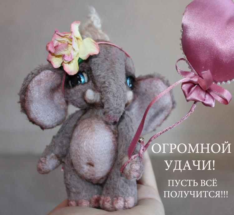 f41a8843c5a065691cb174715e67abbb.jpg