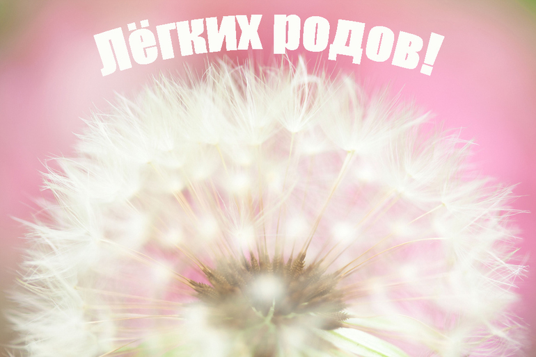 c9282edf4281aa35aa64344bc0c7a91f.jpg