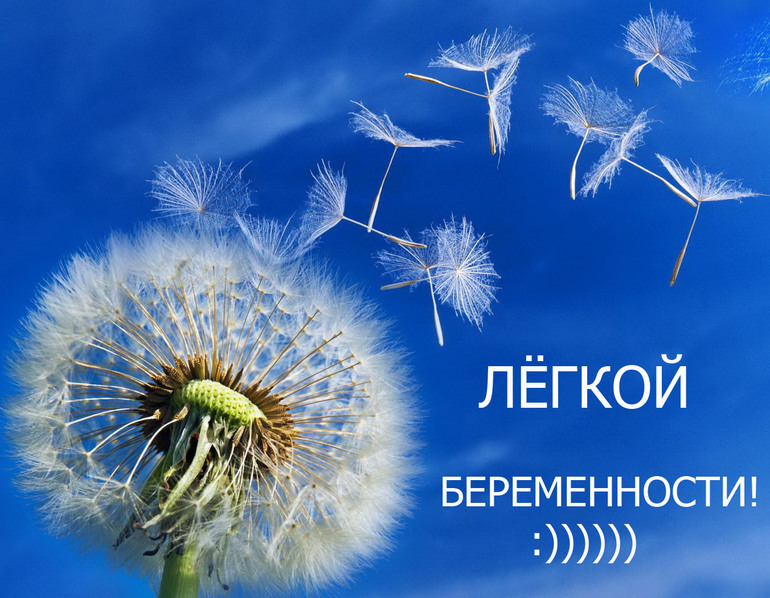 f25934d517fe94c6e50ad48a7d2342d3.jpg