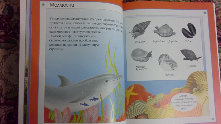 Наше декабрьское пополнение!!!