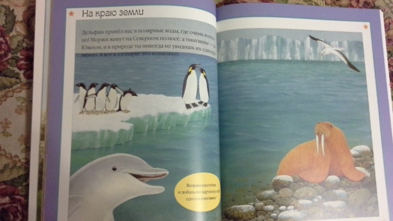 Наше декабрьское пополнение!!!