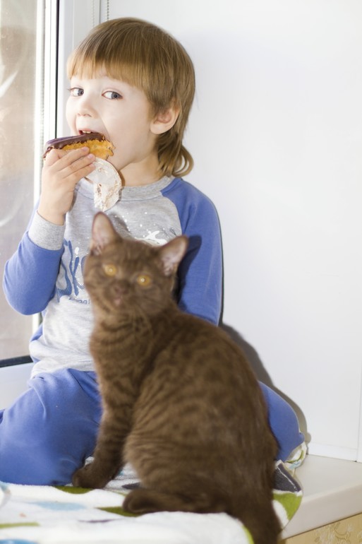 Подскажите окрас, пожалуйста