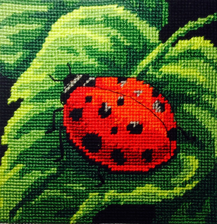 Божья коровка, улети на небо...