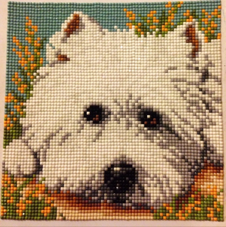 Мой годовой отчет..