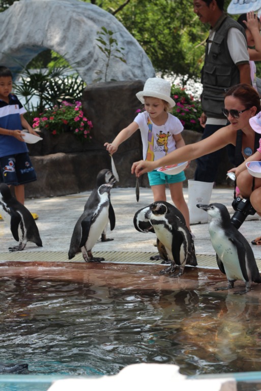 Тайланд зимовка (Джомтьен-Хуахин) 4 месяца. Старт