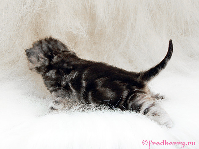 А вот и первые фоточки