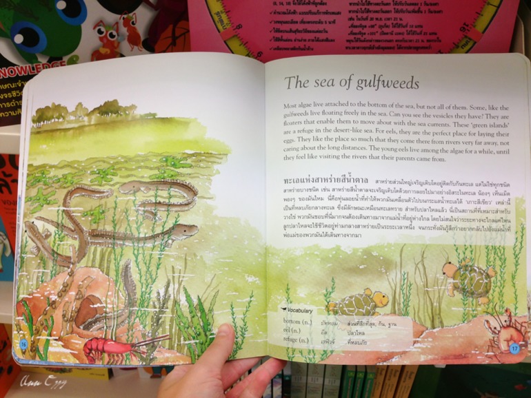 Книжный в Таиланде