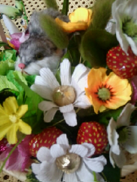 Букеты моей мамочки!