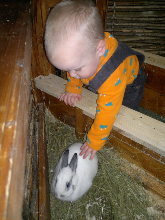 Контактный зоопарк и тропические бабочки на ВВЦ