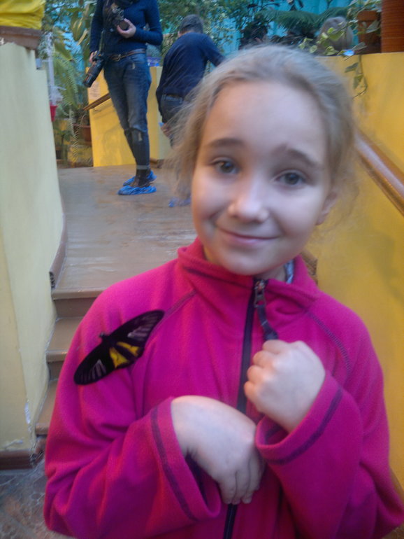 Контактный зоопарк и тропические бабочки на ВВЦ