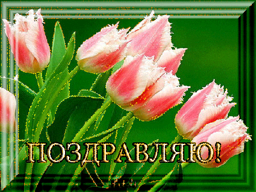 171d6e754093c21b7f3a26523f0b8324.gif