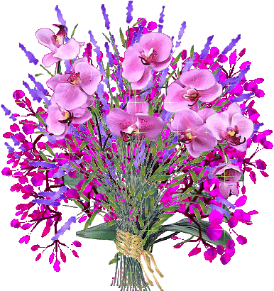 f43af60328402f9859664f63f69ceb2f.gif