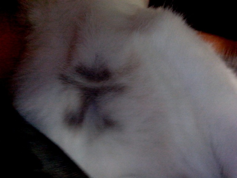 Увидеть знак