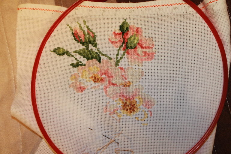 мои яблочки