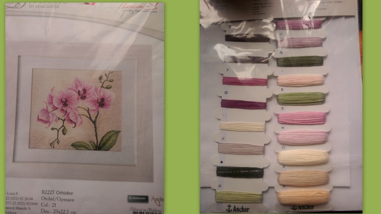 Мой хома в коме!!!!